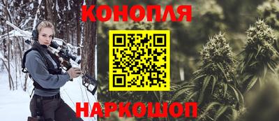гашик Краснознаменск