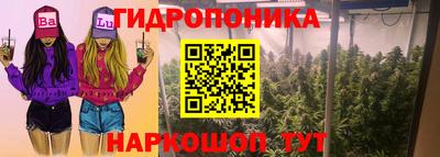 гашик Краснознаменск