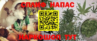 гашик Краснознаменск