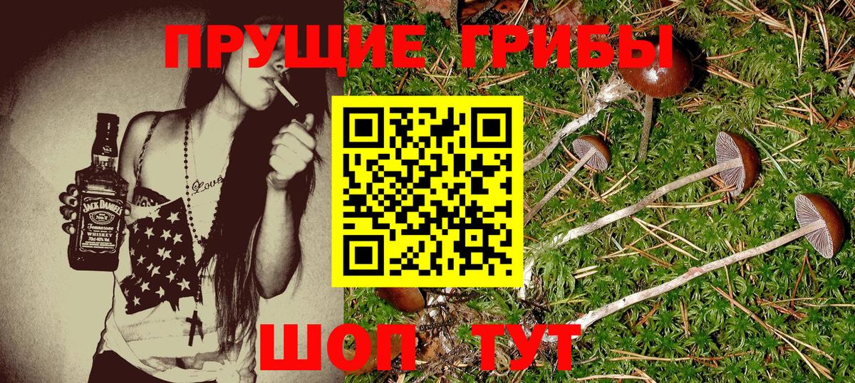 Галлюциногенные грибы Psilocybine cubensis  Вход с VPN  Киров  Галлюциногенные грибы GOLDEN TEACHER 