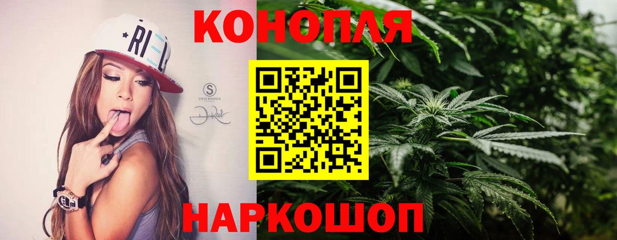 Каннабис планчик  Вход с VPN  Киров  Бошки марихуана AK-47 